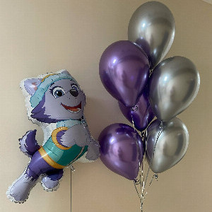 Paw Patrol Everest Balloon Set with delivery Nizhniy-Novgorod