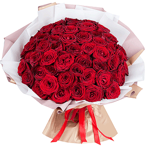 Red rose 40 cm - 67, Wrapping Paper