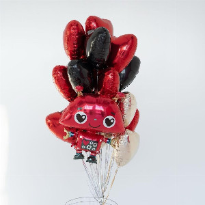 A set of balls is a robot in love with delivery Saint Petersburg