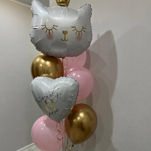 Princess cat with delivery Saint Petersburg