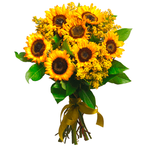Sunflower - 11, Solidago (1 pc.), Salal, Ribbon