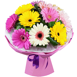Playful gerberas with delivery Moscow