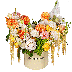 Golden-Crowned  Russia with delivery Moscow