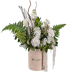 Kupala&rsquo;s Star with delivery Moscow