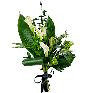 Calla lilies - 7, Skimmia, Ambrella, Aspidistra (1 pc.), Ruscus italian, Ruscus, Ribbon