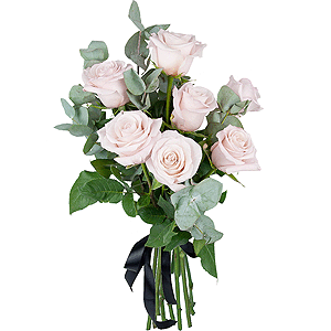 Pink rose 50 cm - 10, Eucalyptus Cinerea, Ribbon