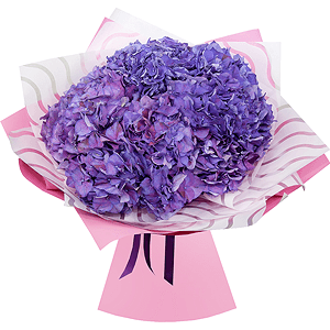 Blue/purple hydrangea - 11, Wrapping Paper