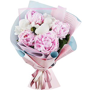 Peony white - 6, Peony white - 7, Wrapping Paper