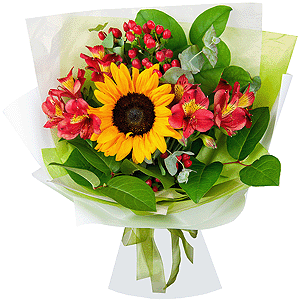 Sunflower - 3, Alstromeria Red, Bright Pink - 5, Hypericum, Salal, Wrapping Paper, Ribbon, Eucalyptus Cinerea