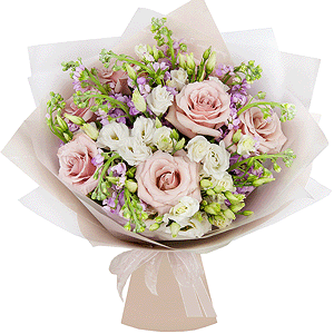 My dream with delivery Moscow