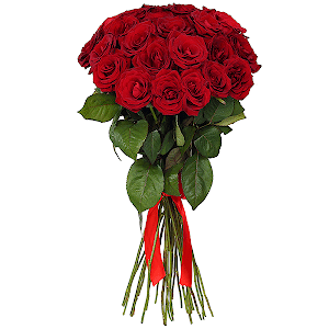 Red rose 70 cm Ecuador - 33, Ribbon
