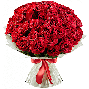 Red rose 50 cm - 67, Ribbon, Felt