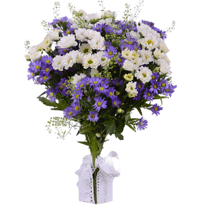 Santini White Spray Chrysanthemum - 9, Lilac aster - 5, Green bell (1 pc.), Ribbon