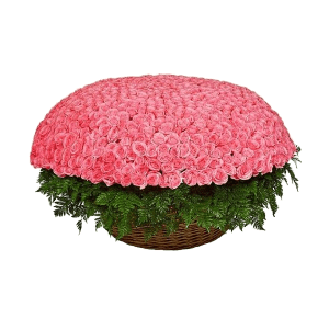 Pink rose 50 cm - 1301, Large Basket, Fern (1 pc.)