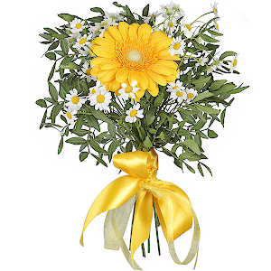 Gerbera yellow - 1, Chamomile - 6, Pistachio, Ribbon