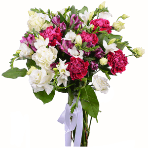 Sweet posh thing with delivery Penza