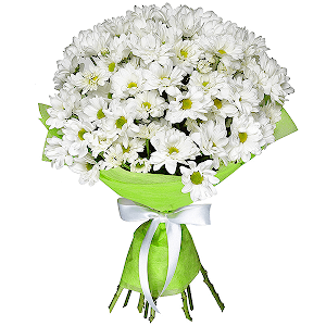 Teacher`s Day with delivery Tver