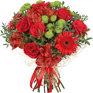 Velvet Season with delivery Samara