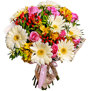Сheerful Mind with delivery Tver