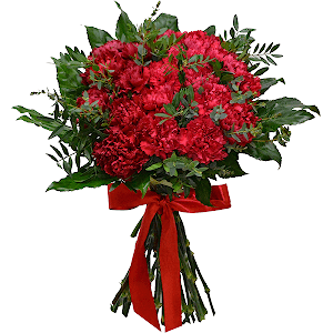 Carnation red - 33, Fatsia (1 pc.), Ribbon, Eucalyptus parvifolia (1 pc.), Pistachio