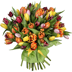 Happy spring with delivery Moscow