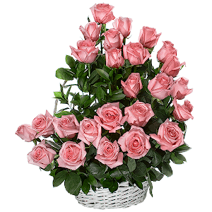 For the Insuperable with delivery Moscow
