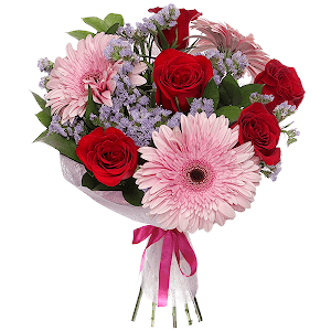 Soft Kiss with delivery Samara