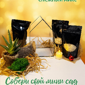 Florarium Kit "Snowy Mix Gold" with delivery Krasnodar