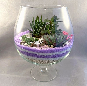 Florarium in a Glass "Lavender Delight" with delivery Saint Petersburg