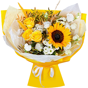 Happy dreams with delivery Barnaul