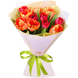 Red tulip - 6, Orange tulip - 7, Wrapping Paper, Ribbon