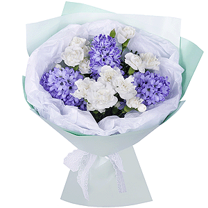 Blue Hyacinth - 5, White spray carnation - 7, Wrapping Paper