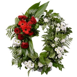 Red rose 50 cm - 8, Santini White Spray Chrysanthemum - 13, Gerbera red - 4, Gypsophila - 2, Funeral wreath frame, Ruscus, Salal, Fern (1 pc.), Aspidistra (1 pc.)