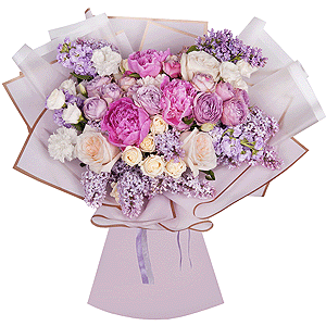Сolor inspiration with delivery Abakan