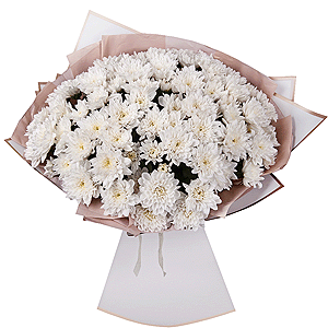 Chrysanthemum bush with delivery Belgorod