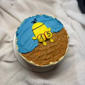 Sunny Hero Bento Cake with delivery Vladivostok