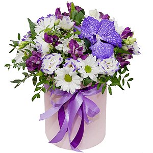 Vanda Orchid bud - 2, Bacardi White Spray Chrysanthemum - 4, Purple Lisianthus (Eustoma) - 3, Alstromeria lilac, purple - 3, Round flower box small , Oasis, Film, Flask for orchids, Aspidistra (1 pc.), Pistachio, Ribbon
