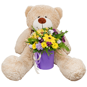 Sunbeams with teddy bear with delivery Balashikha