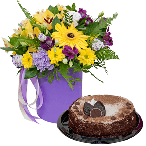 Sunbeams with cake with delivery Yalta