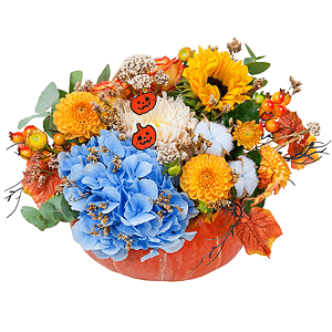 Bountyful with delivery Moscow