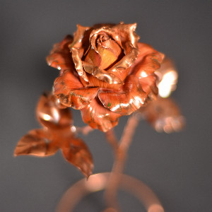 Strict Classics Rose with delivery Saint Petersburg