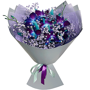 Gypsophila - 9, Orchid Dendrobium - 7, Flask for orchids, Dried flowers in assortment, Wrapping Paper