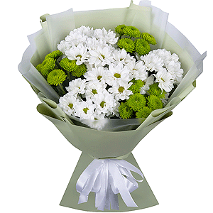 Chrysanthemums Waltz with delivery Moscow