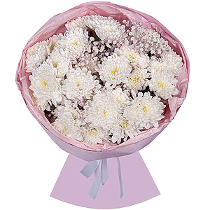 Magical Dreams with delivery Moscow