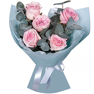Peony style roses - 9, Eucalyptus, Wrapping Paper