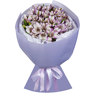 Alstromeria lilac, purple - 15, Wrapping Paper