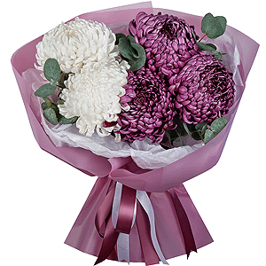 Chrysanthemum Bigoudi purple - 7, Eucalyptus, Wrapping Paper