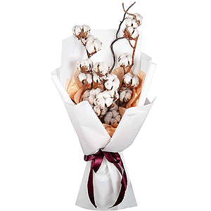 Cotton Bouquet with delivery Sergiev-Posad