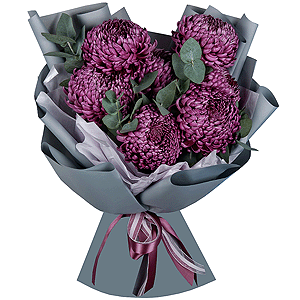 Chrysanthemum Bigoudi purple - 11, Eucalyptus, Wrapping Paper