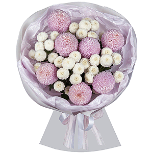 Lavender Cappuccino with delivery Nizhniy-Novgorod